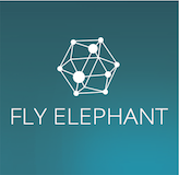 FlyElephant